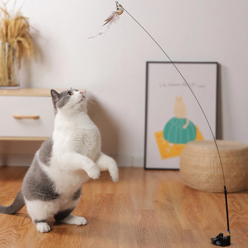 Ensemble de Jouets Interactifs pour Chats - Simulation d'Oiseaux - Leo's Paw