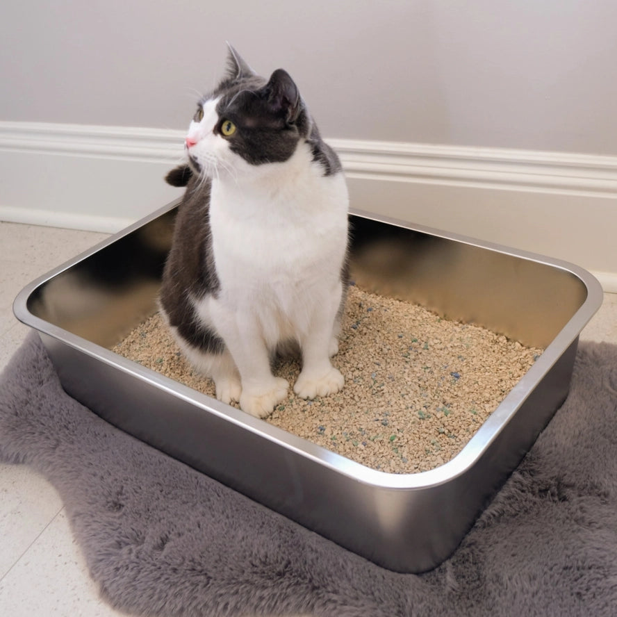 Midlee Boîte à litière pour chat en acier inoxydable XL - Midlee Designs