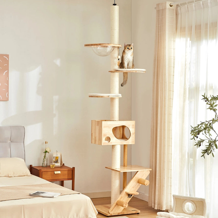 Helsinki Le Centre de Jeu pour Chats The Levels Fit Me - Lords and Labradors