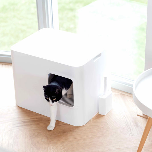 Bac à litière Dome - Hoopo