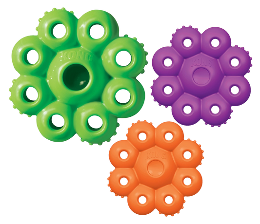 KONG Quest Étoile Pod - Hofman Animal Care