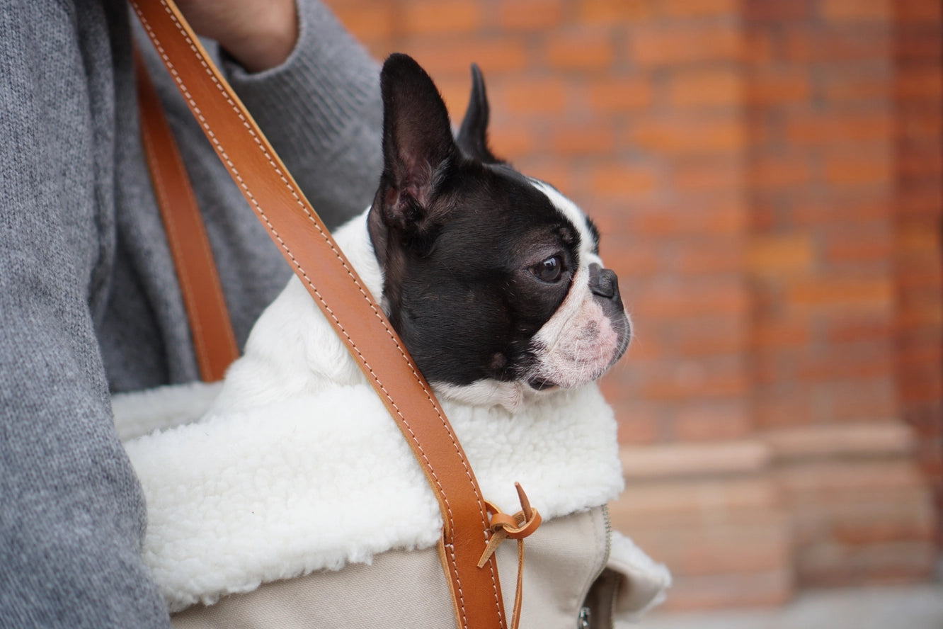 Porte-chien Liiva - Labbvenn
