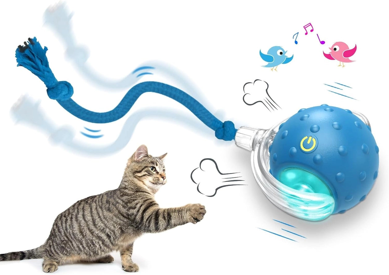 Balle Interactive pour Chat - Roulement Rapide Automatique - VIGOR
