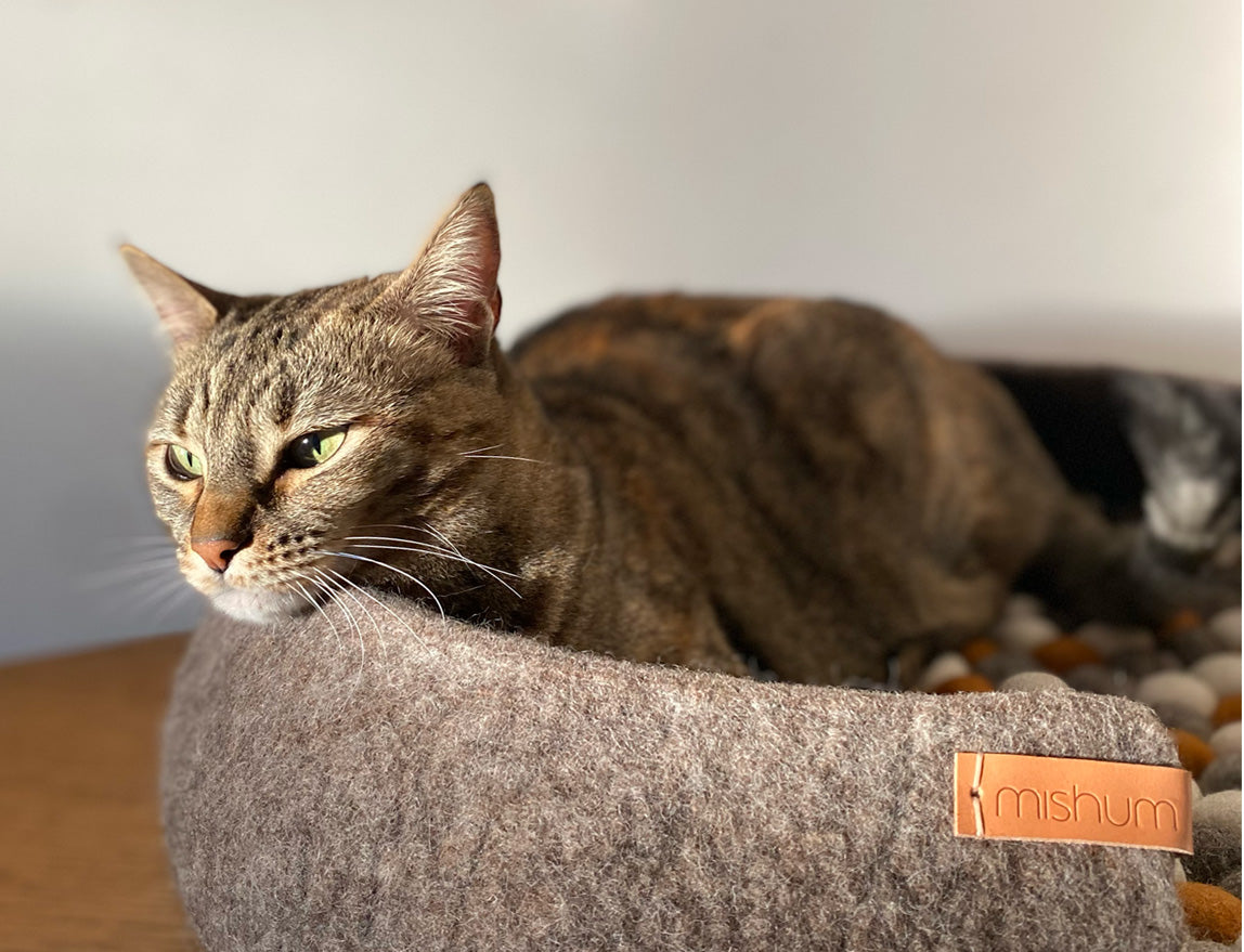 Panier de lit pour animaux domestiques en laine feutrée - Mishum
