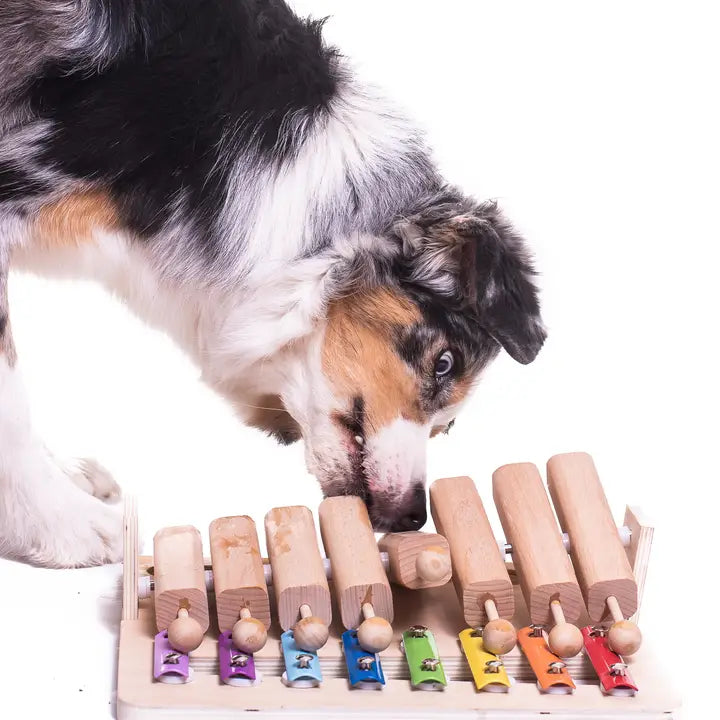 Puzzle Musical à Tuyaux Mobiles - Jouets pour chien- My Intelligent Dogs