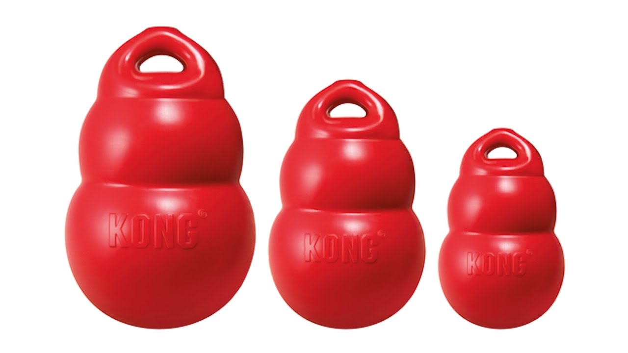 KONG Bounzer Grand - Hofman Animal Care