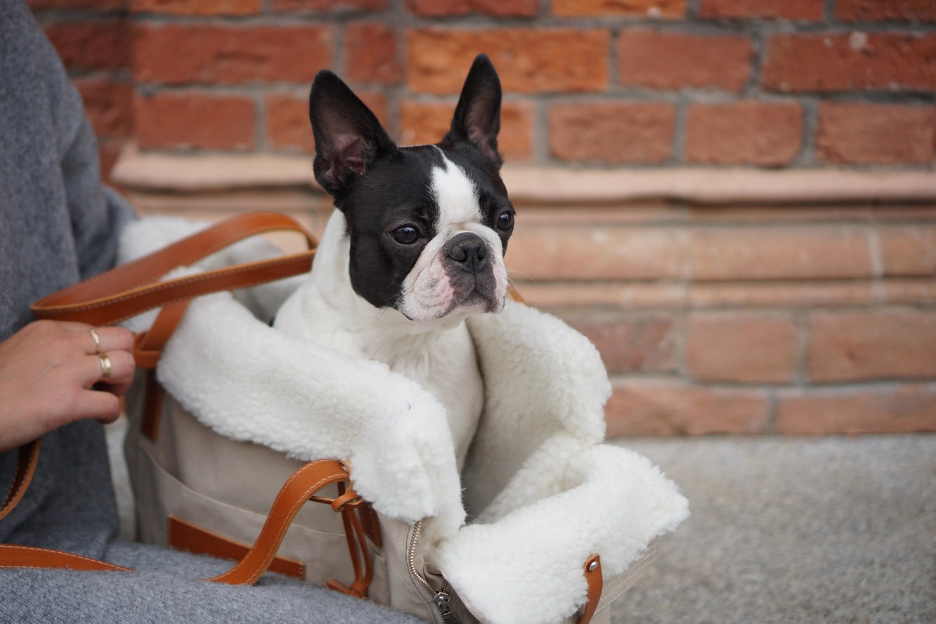 Porte-chien Liiva - Labbvenn