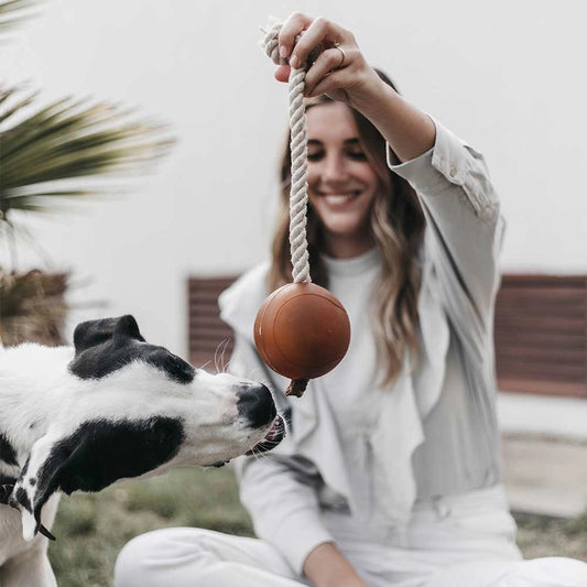 Balle en caoutchouc naturel avec corde pour chien - Jouets pour chien - POCURULL