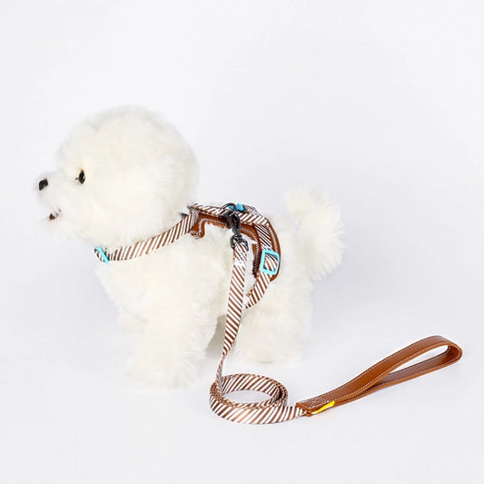 Loofie - Ensemble Harnais et Laisse Réglable - Cheerhunting