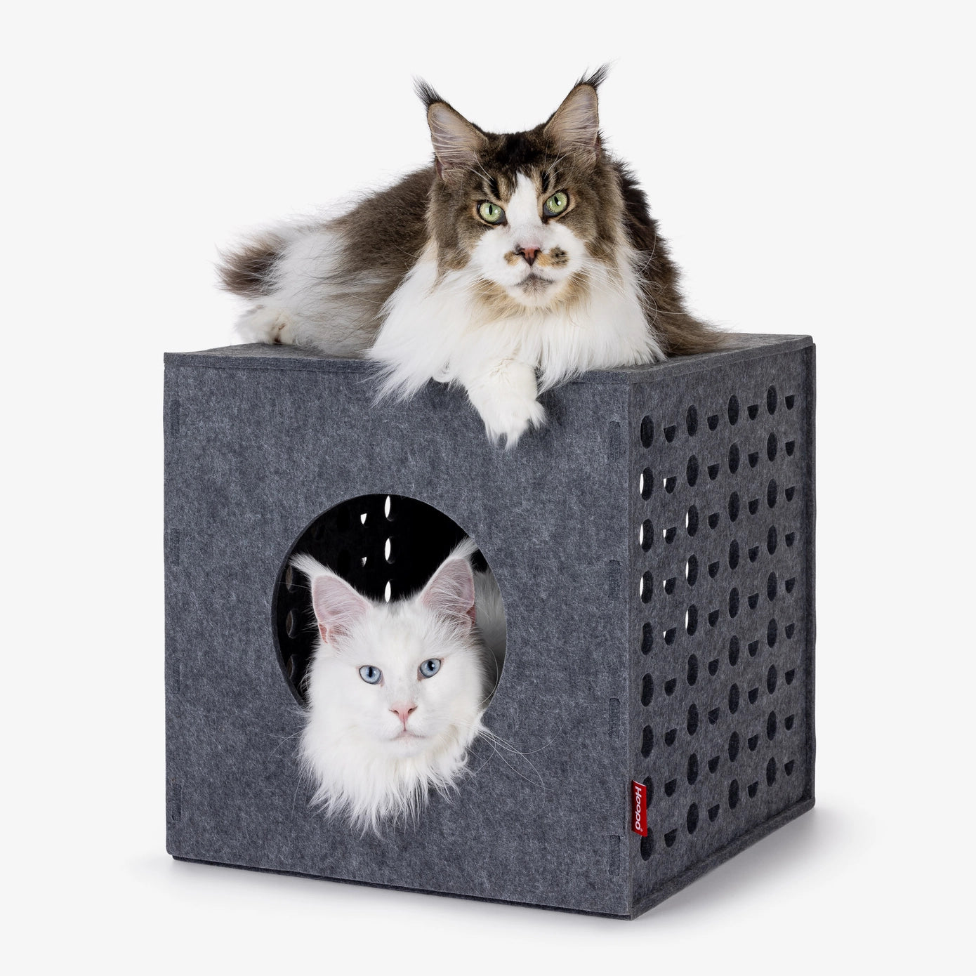 Cube - Jouets pour chats - Hoopo
