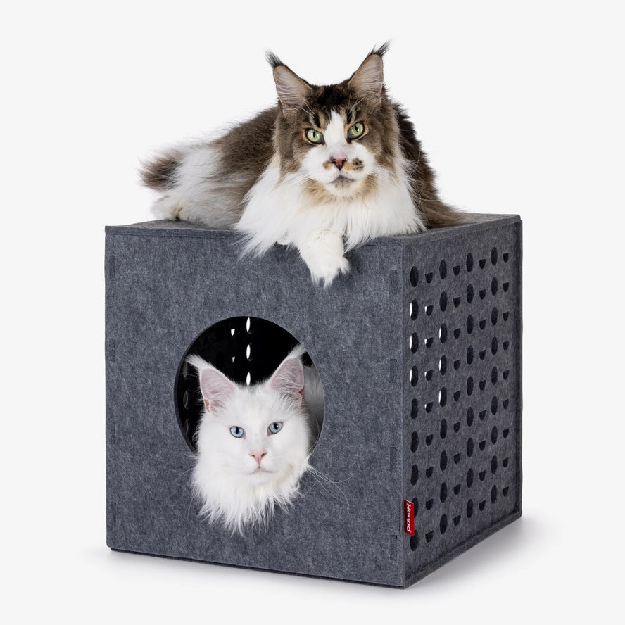 Cube Pour Chat - Hoopo