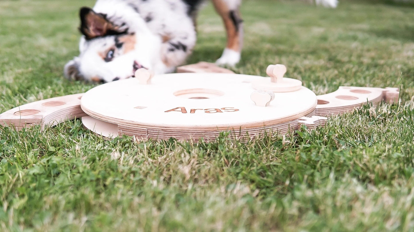 Planche d'activités éducatives, jouet pour chien - PromiDesign