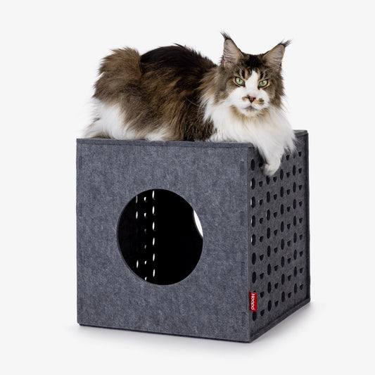 Cube Pour Chat - Hoopo