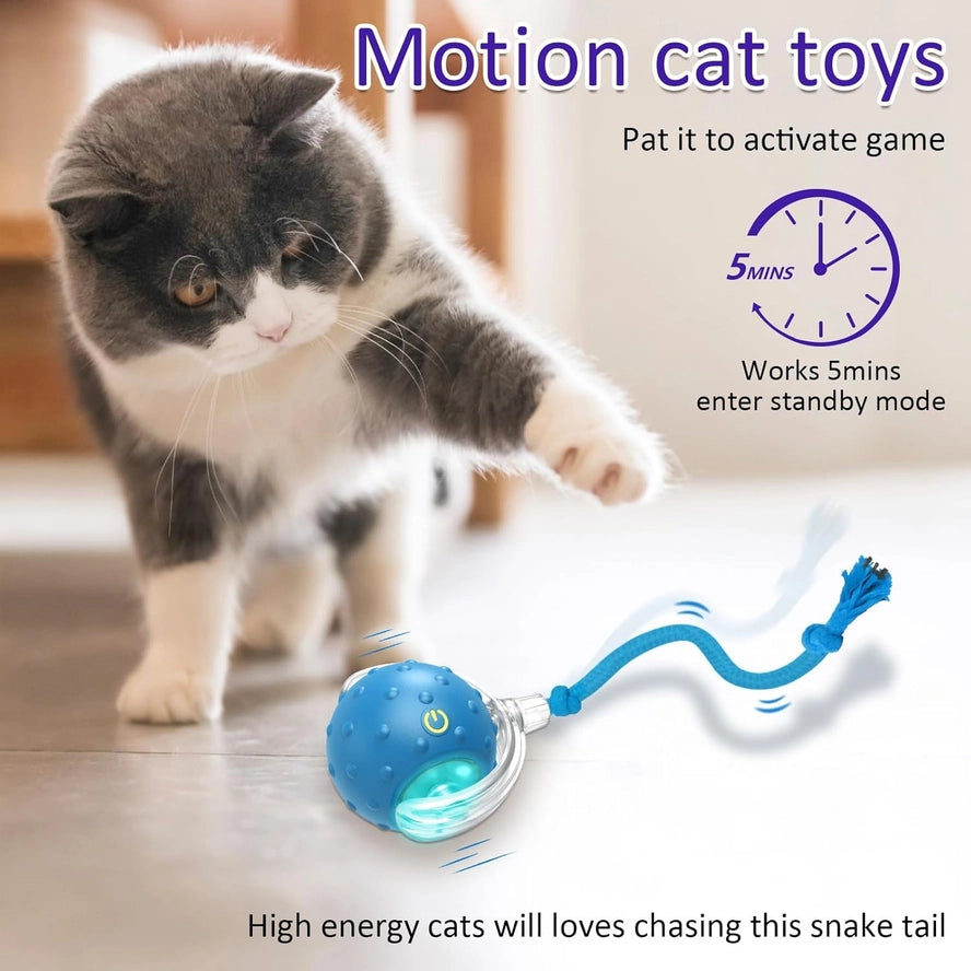 Balle Interactive pour Chat - Roulement Rapide Automatique - VIGOR