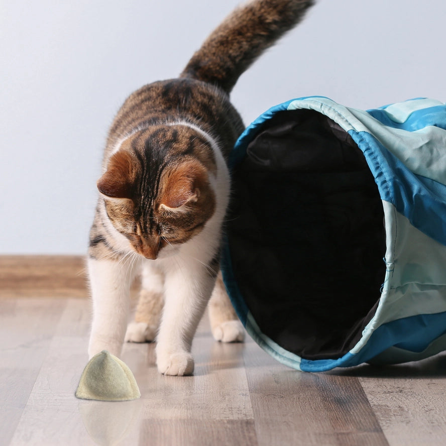 Jouet pour Chat en Laine Vierge : Vers et Coussins à la Menthe - Kater Kasimir