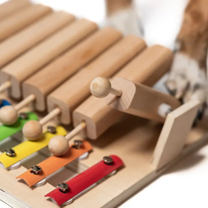 Puzzle Musical à Tuyaux Mobiles - Jouets pour chien- My Intelligent Dogs