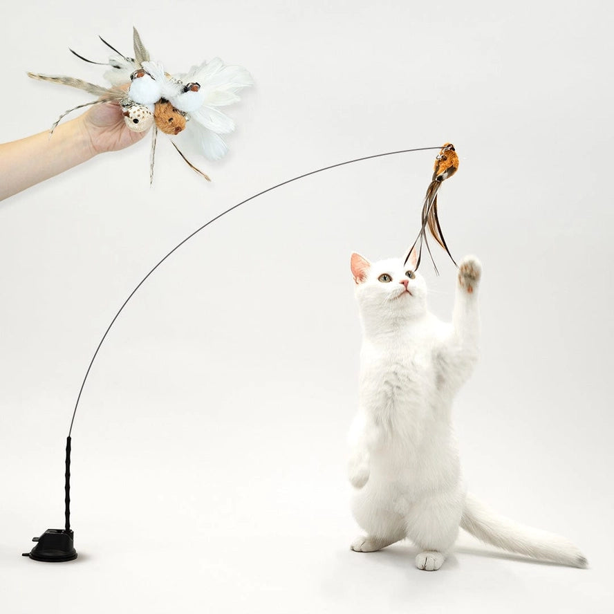Ensemble de Jouets Interactifs pour Chats - Simulation d'Oiseaux - Leo's Paw