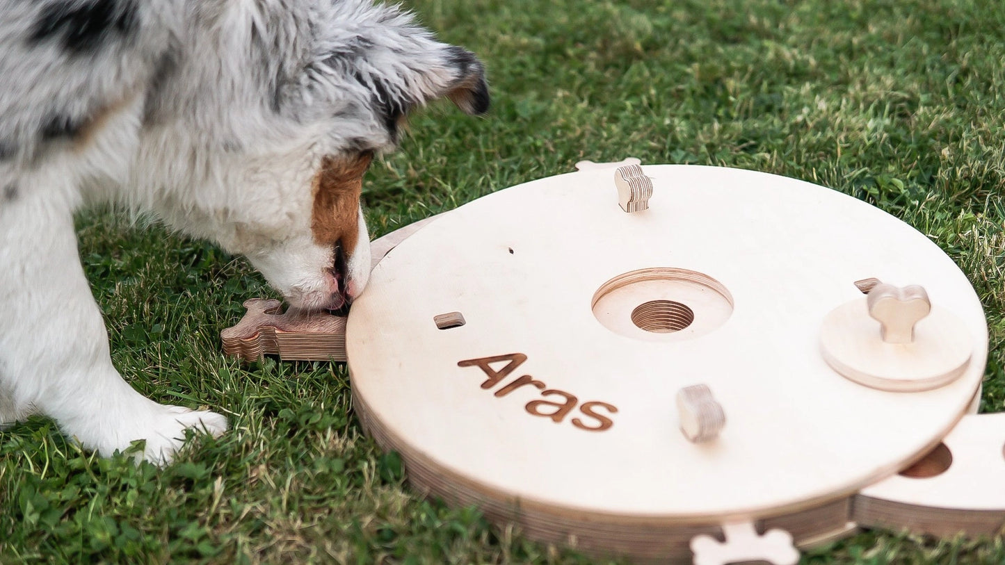Planche d'activités éducatives, jouet pour chien - PromiDesign
