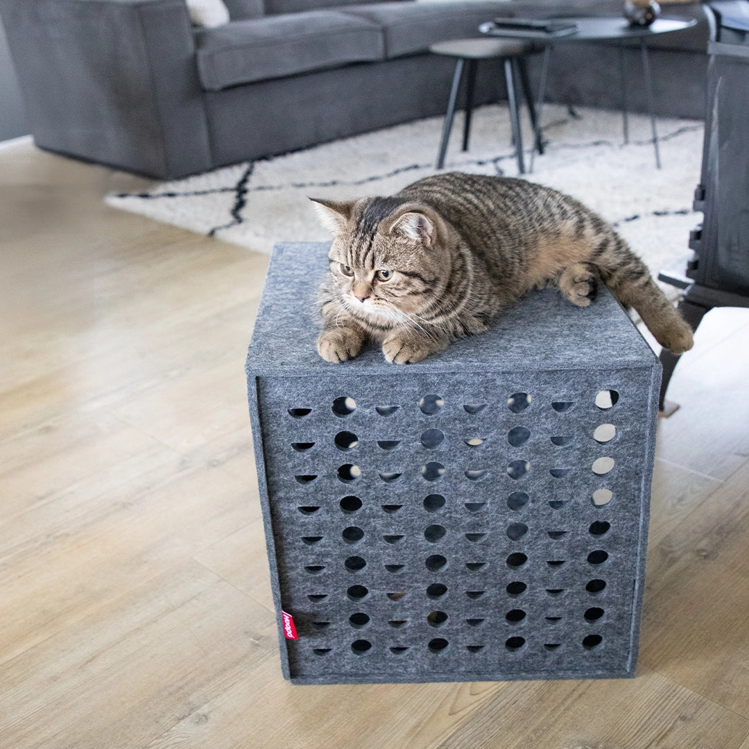 Cube - Jouets pour chats - Hoopo
