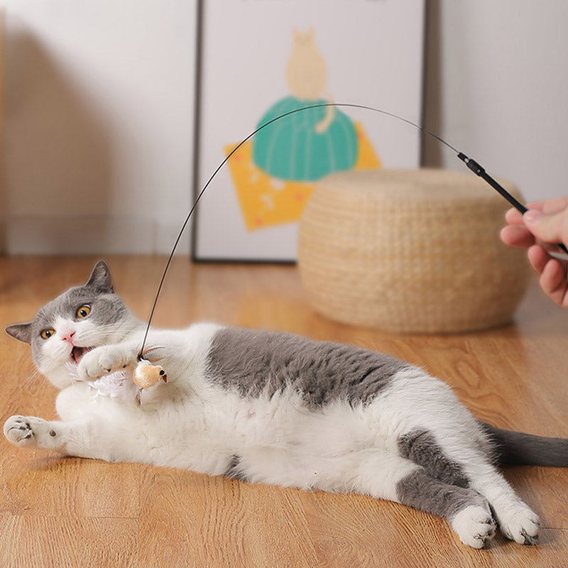 Ensemble de Jouets Interactifs pour Chats - Simulation d'Oiseaux - Leo's Paw
