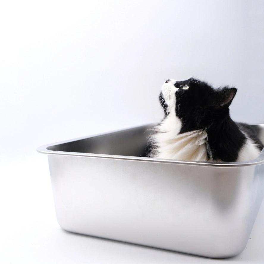 Midlee Boîte à litière pour chat en acier inoxydable XL - Midlee Designs