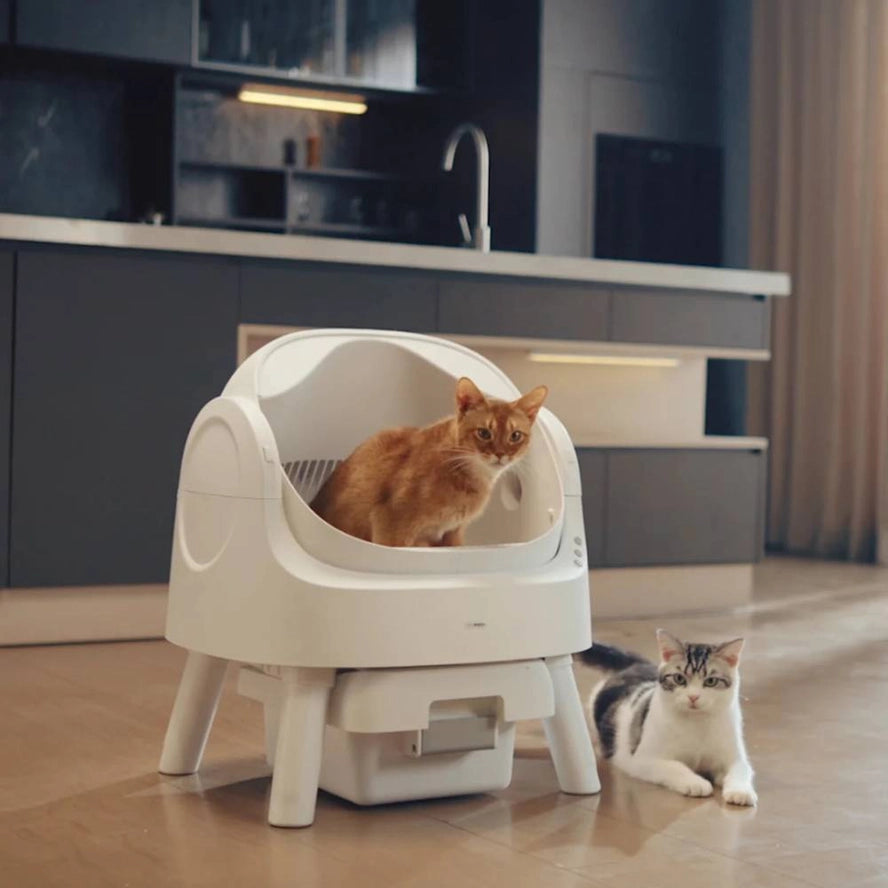 Bac à litière pour chat autonettoyant - Fresh Whisker