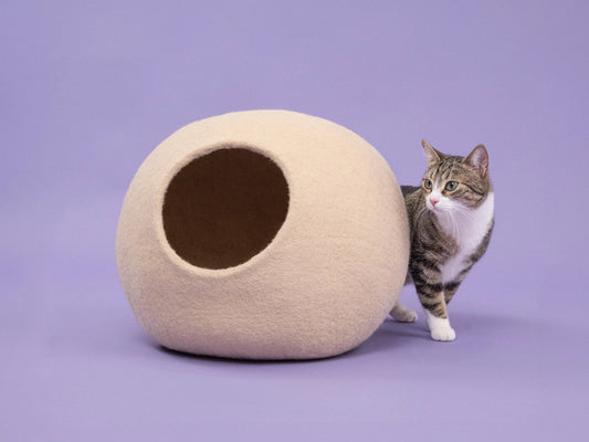 Levi Katzenhohle - myfelt