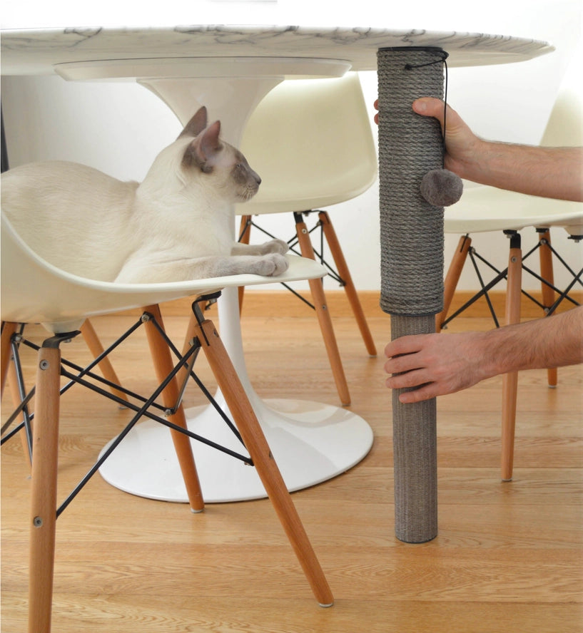 Grattoir de table extensible avec base antidérapante - United Pets