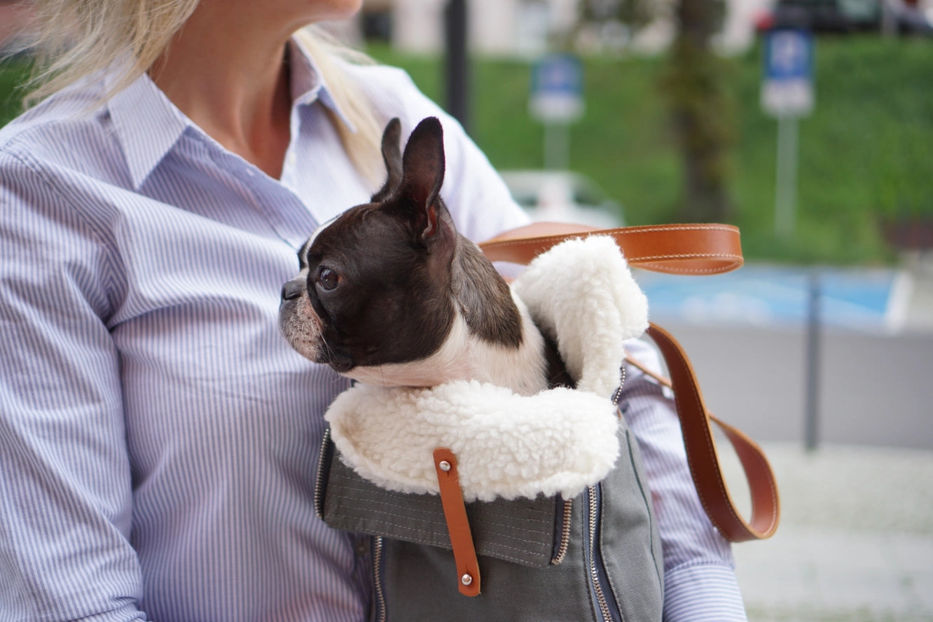 Porte-chien Liiva - Labbvenn