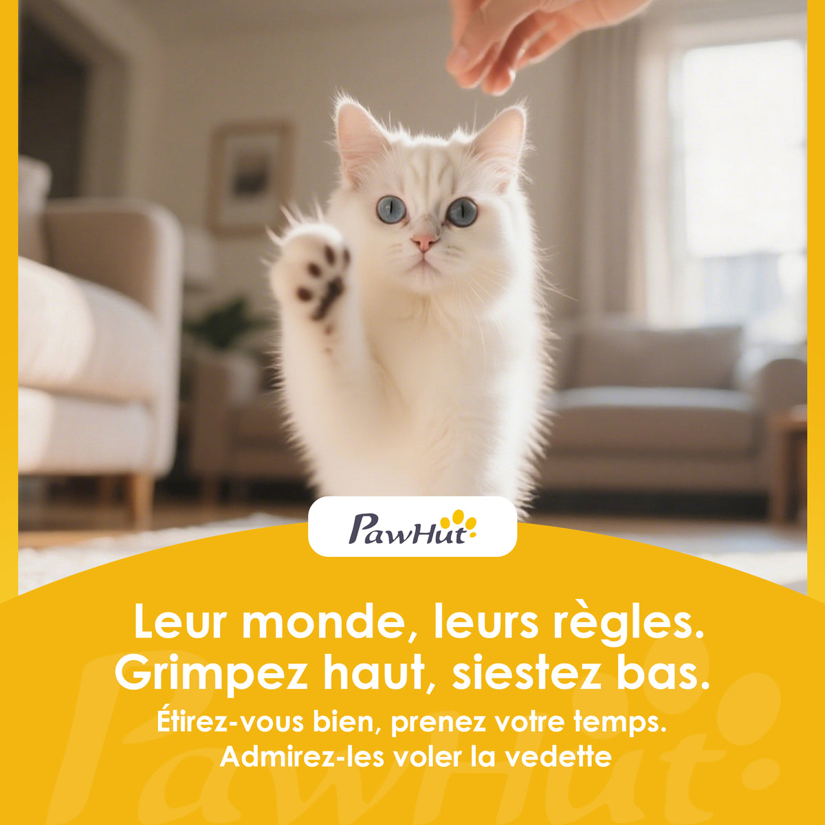 Litière chat autonettoyante bac à litière pour chat automatique ouvert isolation des odeurs/protection de sécurité blanc