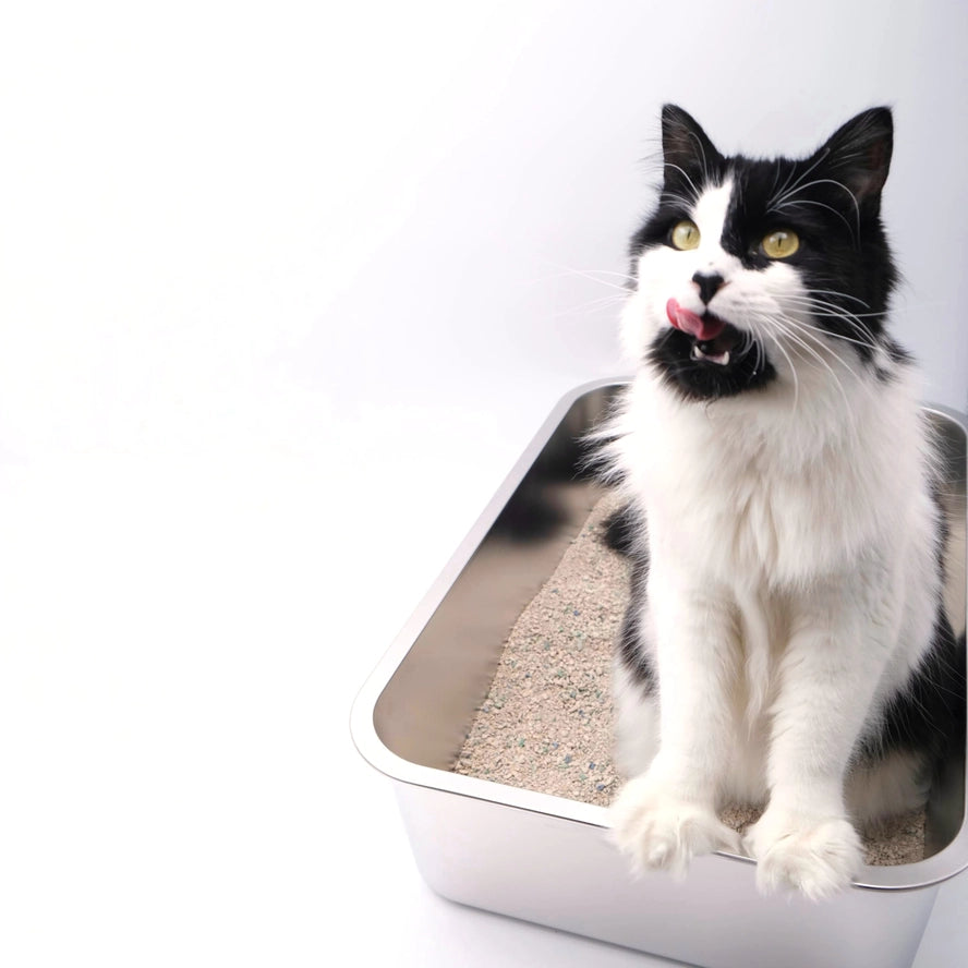 Midlee Boîte à litière pour chat en acier inoxydable XL - Midlee Designs
