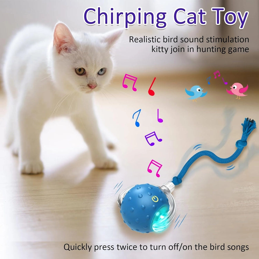 Balle Interactive pour Chat - Roulement Rapide Automatique - VIGOR