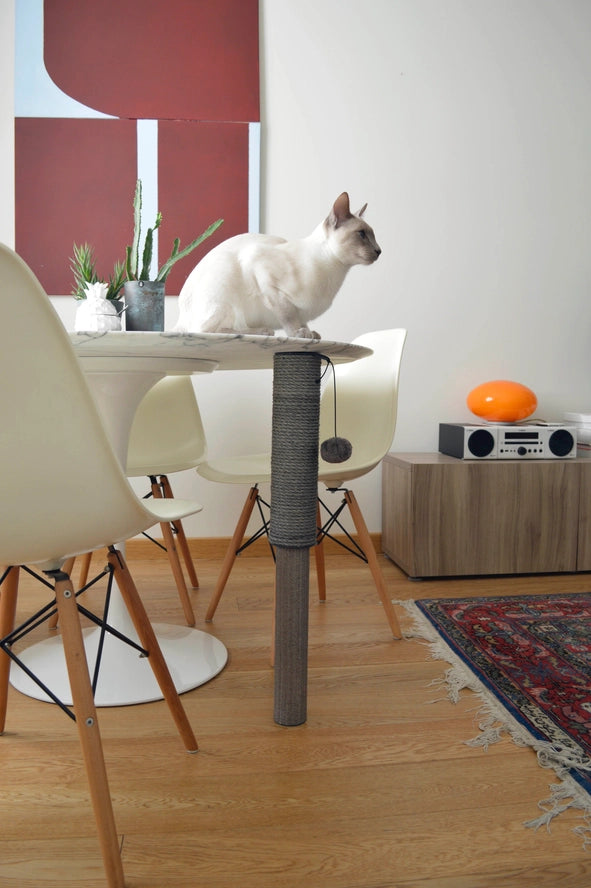 Grattoir de table extensible avec base antidérapante - United Pets