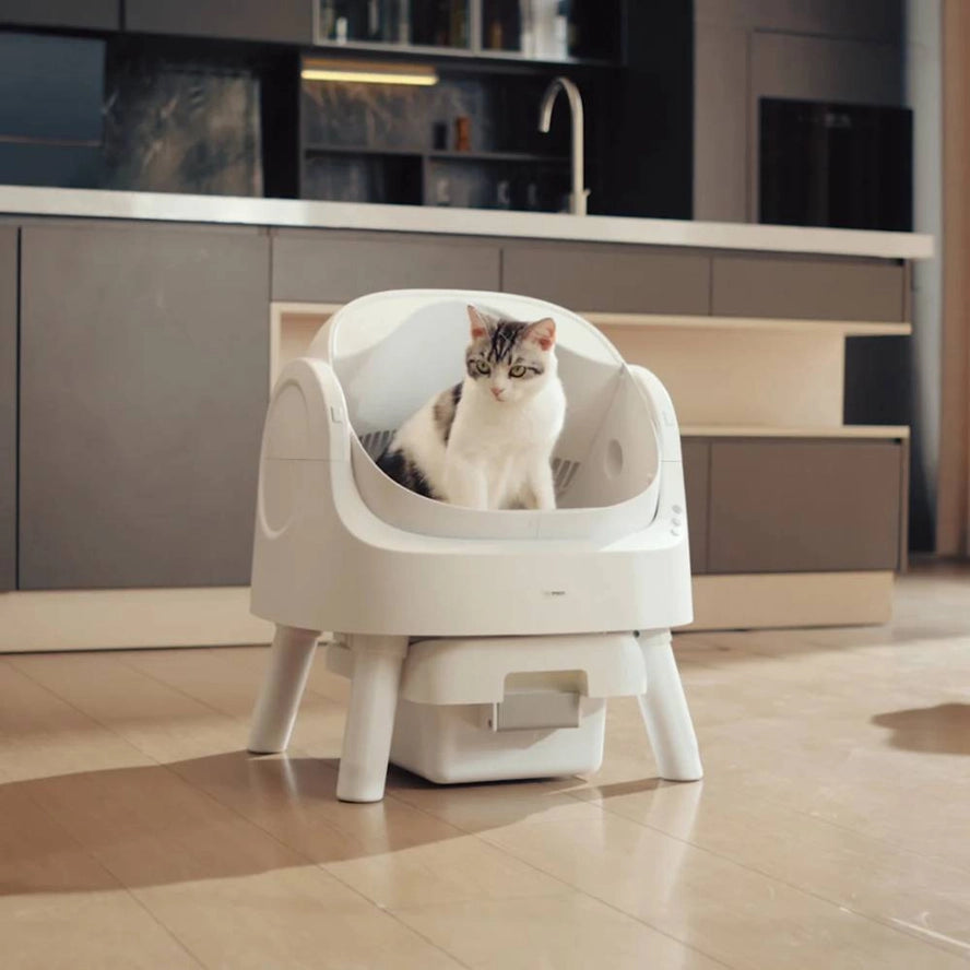 Bac à litière pour chat autonettoyant - Fresh Whisker