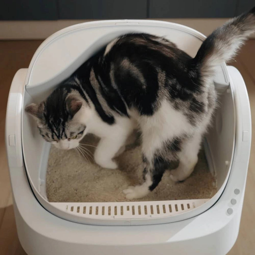Bac à litière pour chat autonettoyant - Fresh Whisker