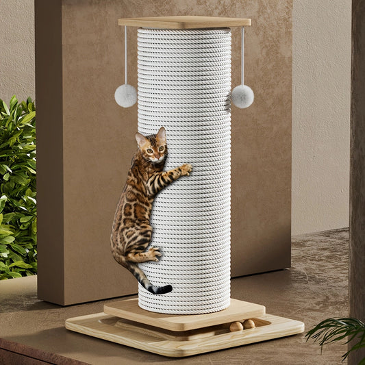 Griffoir en sisal avec jouet, base stable et escalade pour chat - DIYSTORE