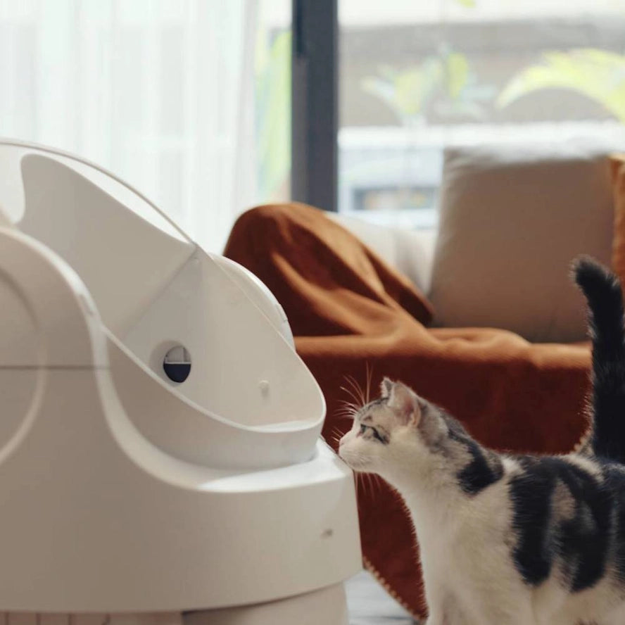 Bac à litière pour chat autonettoyant - Fresh Whisker