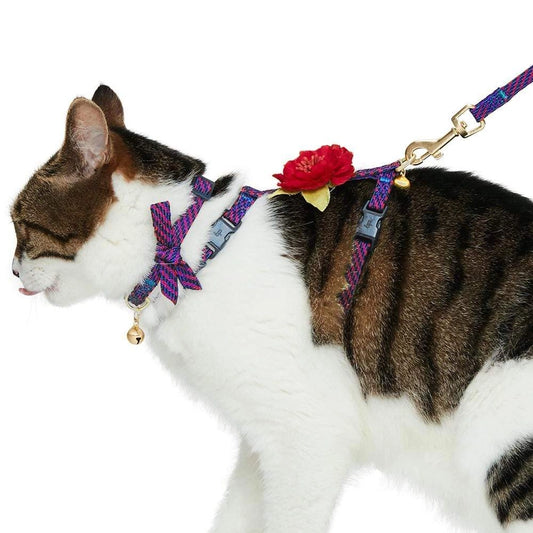 Ensemble de Laisse et Harnais pour Chat - Blueberry Pet