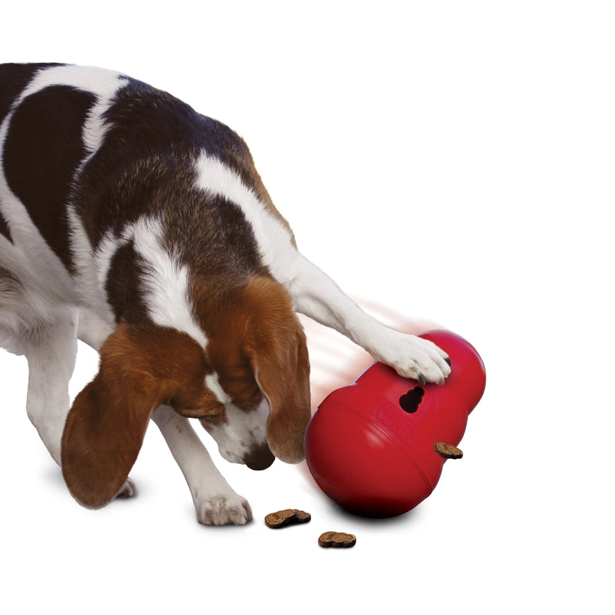 KONG Wobbler - Hofman Animal Care