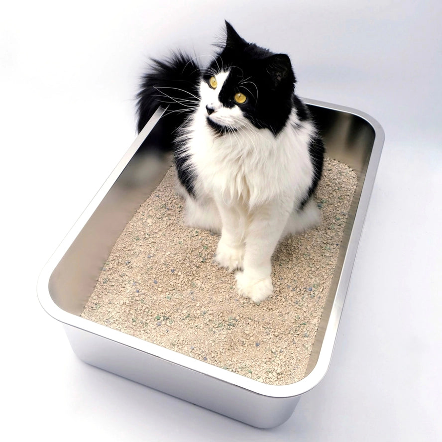 Midlee Boîte à litière pour chat en acier inoxydable XL - Midlee Designs