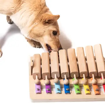 Puzzle Musical à Tuyaux Mobiles - Jouets pour chien- My Intelligent Dogs