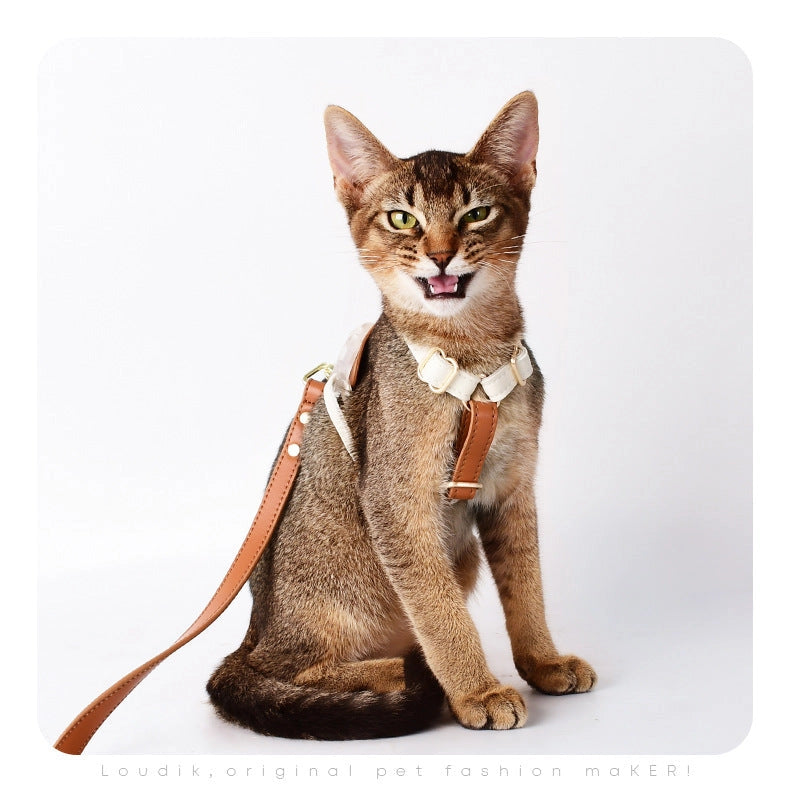 Loofie - Harnais pour animaux de compagnie en cuir végétal coloré - Cheerhunting