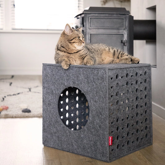 Cube - Jouets pour chats - Hoopo