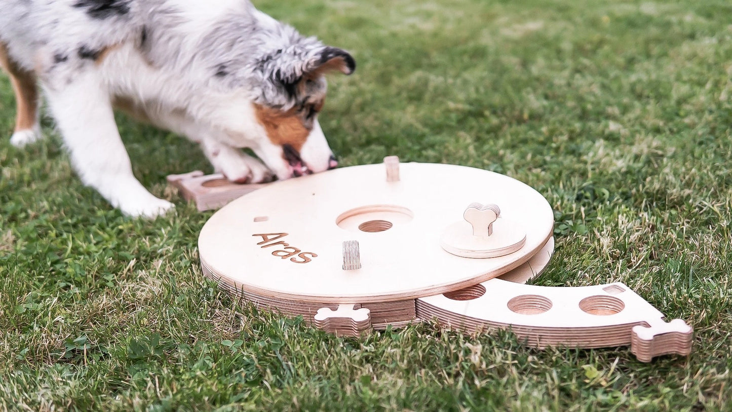 Planche d'activités éducatives, jouet pour chien - PromiDesign