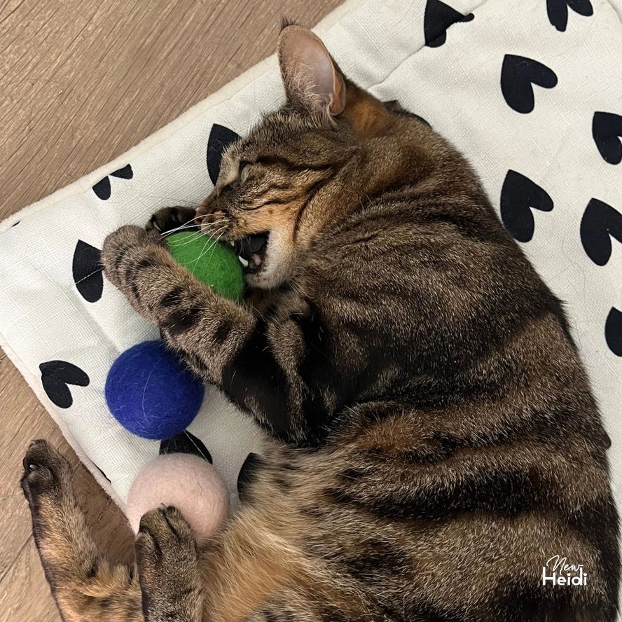Set de 6 balles pour chat - New Heidi