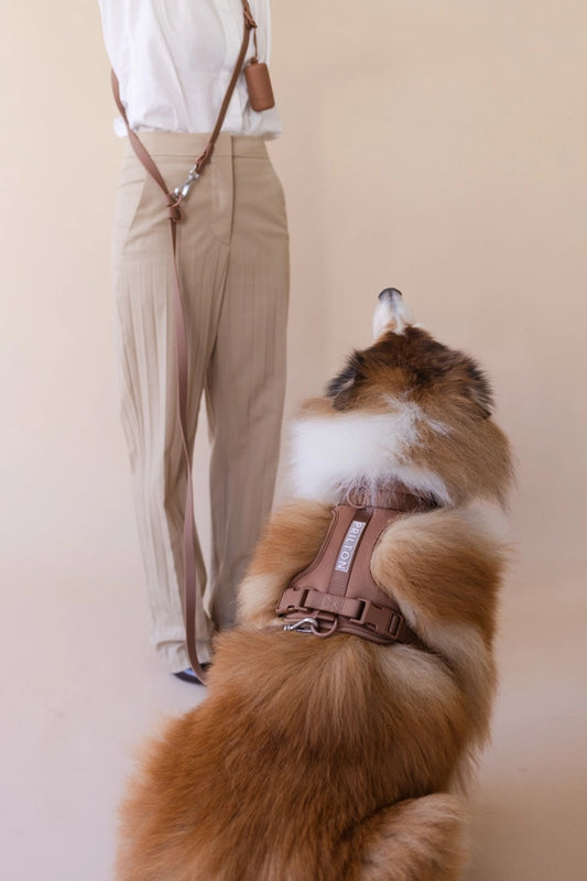 Ensemble de marche - PRILTON