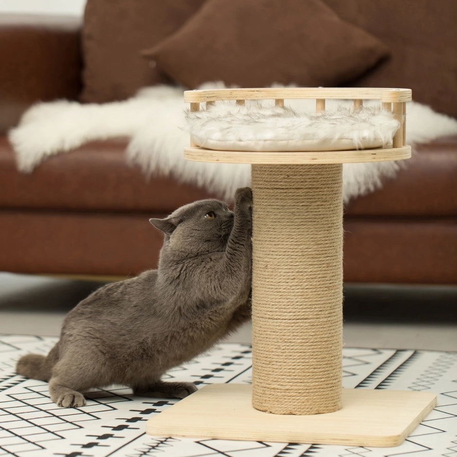 Arbre à Chat en Sisal en Bois avec Lit Pour Animal Domestique - Quickway Imports