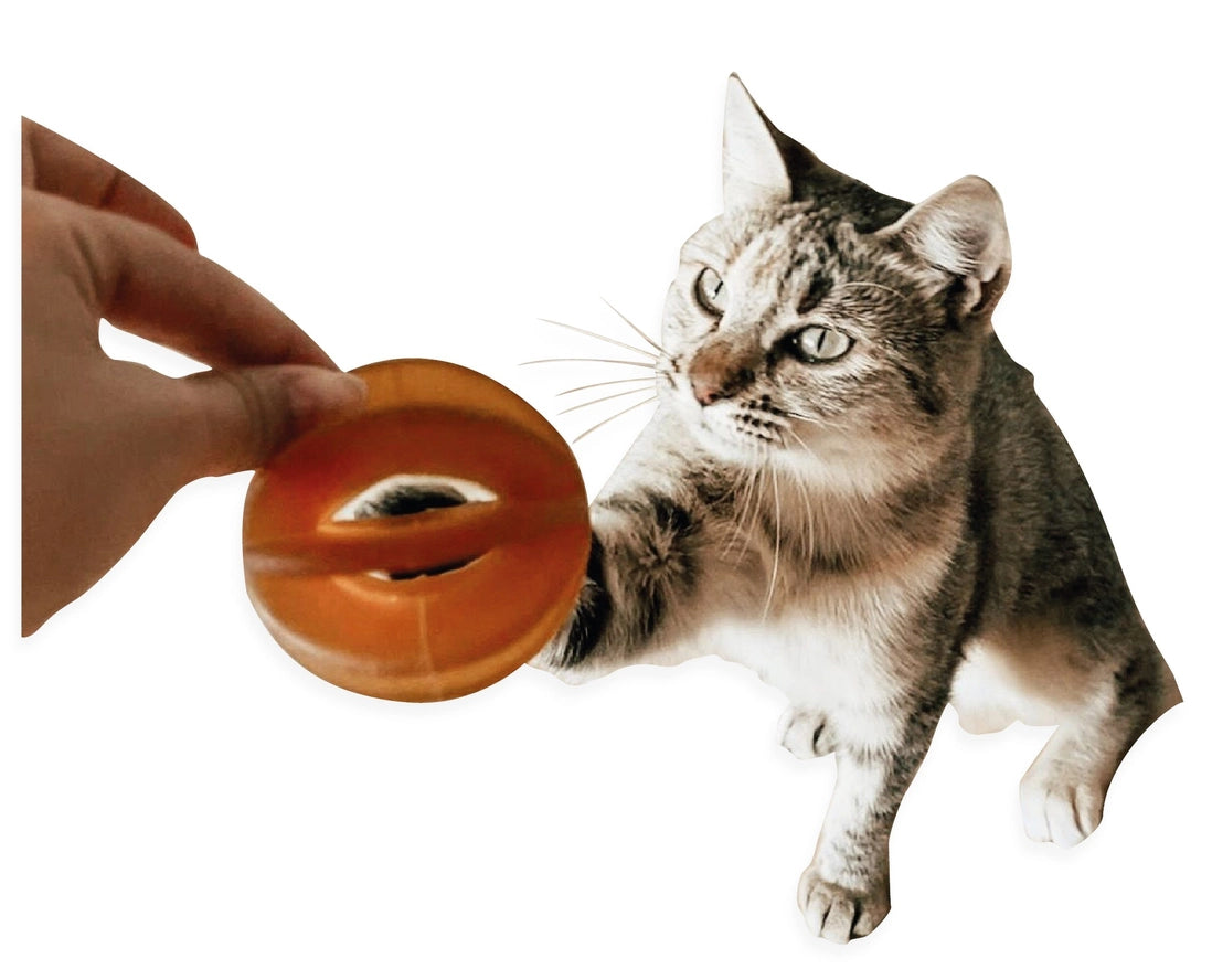 Jouet pour chats Rub Funny Ball Cats X2 - POCURULL SL (Retorn)