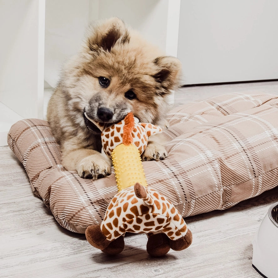 Jouet pour Chien Girafe - Ne&No