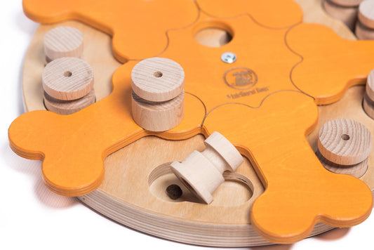 Carousel of Bones - Jeu d'Intelligence Chien - My Intelligent Dogs